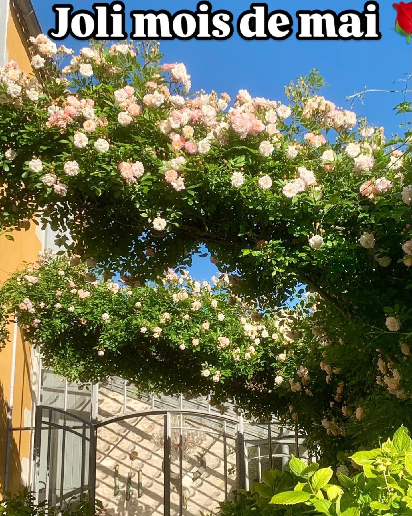 Chambres d'hôtes La Borderie du Gô près de La Rochelle Nieul-sur-Mer Exterior foto